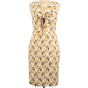 Anthropologie Lulu's 🍐 Dress